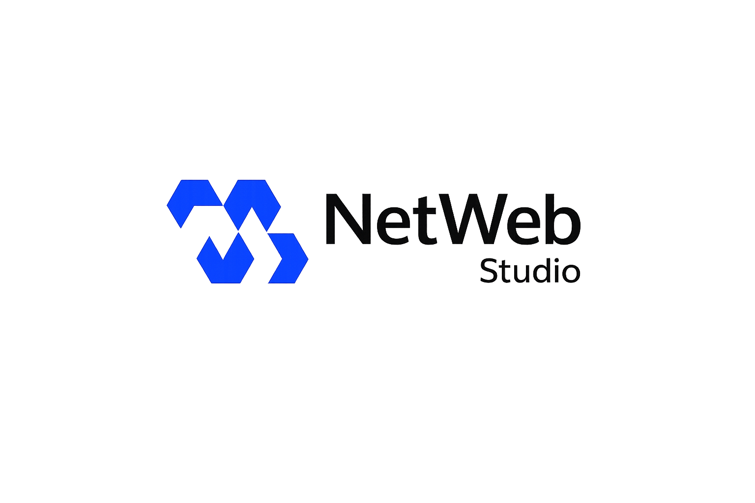 NetWeb Studio Logo